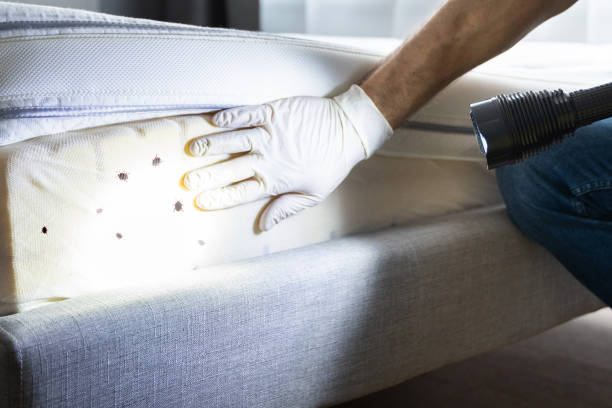 Pest Control for Restaurants in Elim, PA