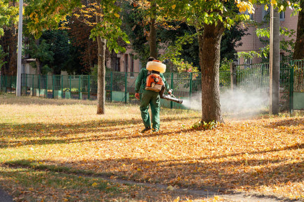 Professional Pest Control in Elim, PA