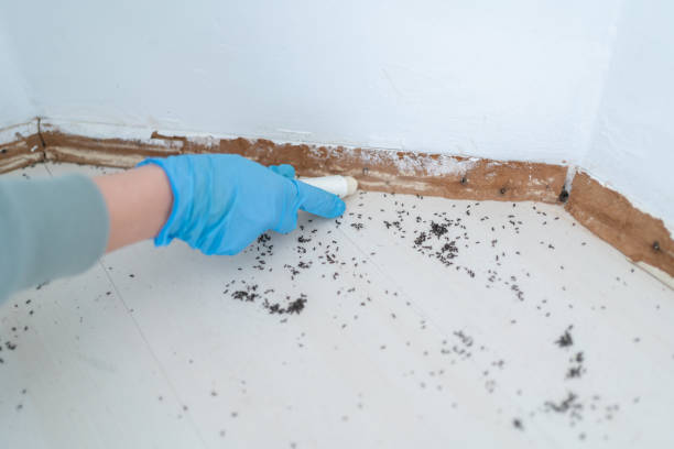 Best Best Pest Control Companies  in Elim, PA